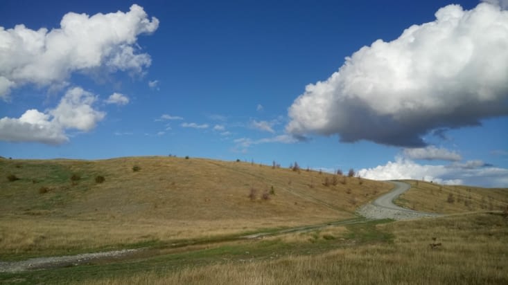 On the road back to lake Pukaki