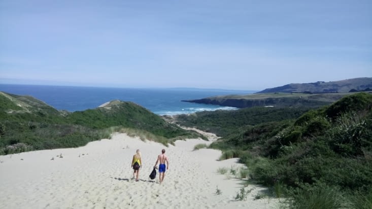 Otago Peninsula: on the beach