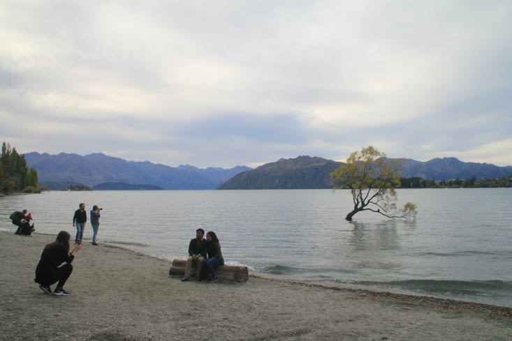 People posing with the tree for photographer Charlotte