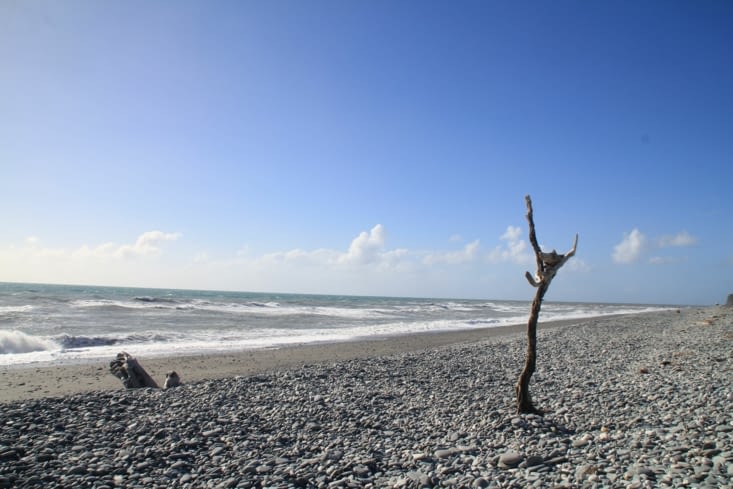 Gillespie track to the sea