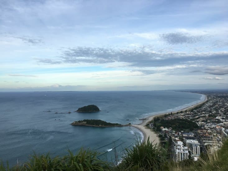 Tauranga