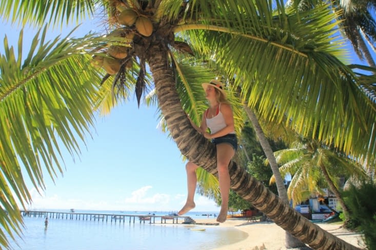 Climbing the coconut tree