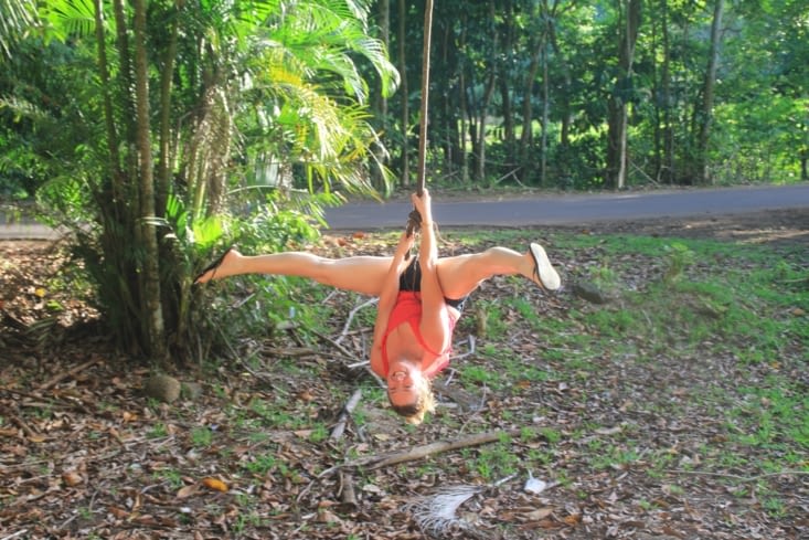 Swinging on a giant ficus elastica