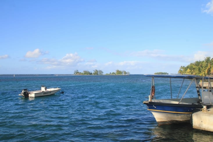 Pointe Vénus: to the sea