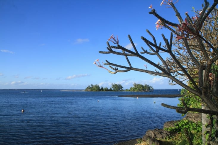 Pointe Vénus: to the sea