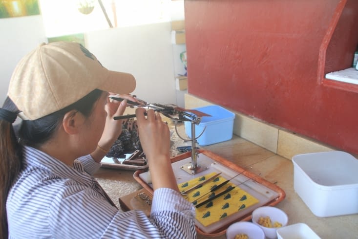 Insertion of beads in the oysters