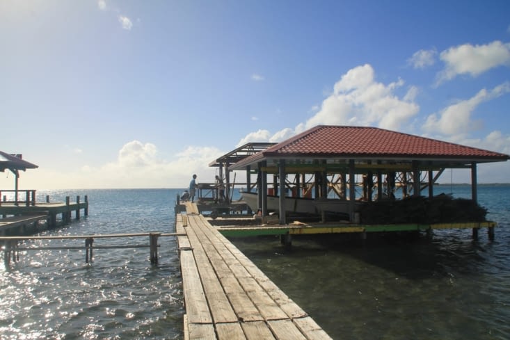 Pearl farm: the famous black pearl of Tahiti