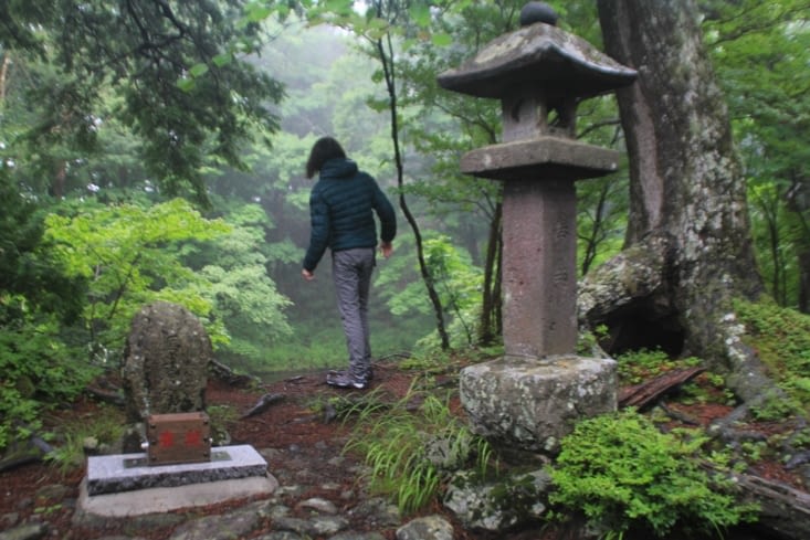 Wandering the mystic forest