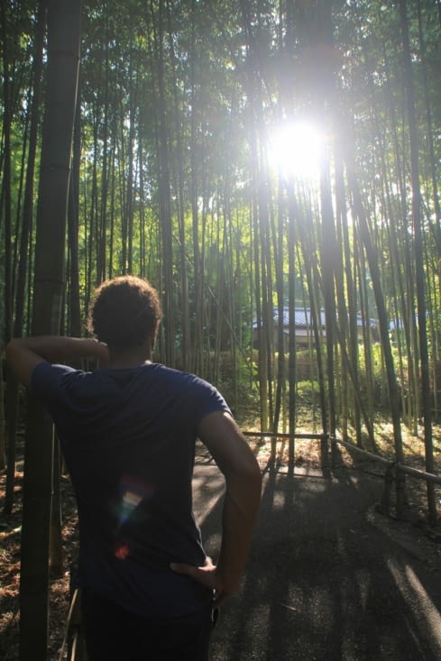 The bamboo grove of Arashiyama