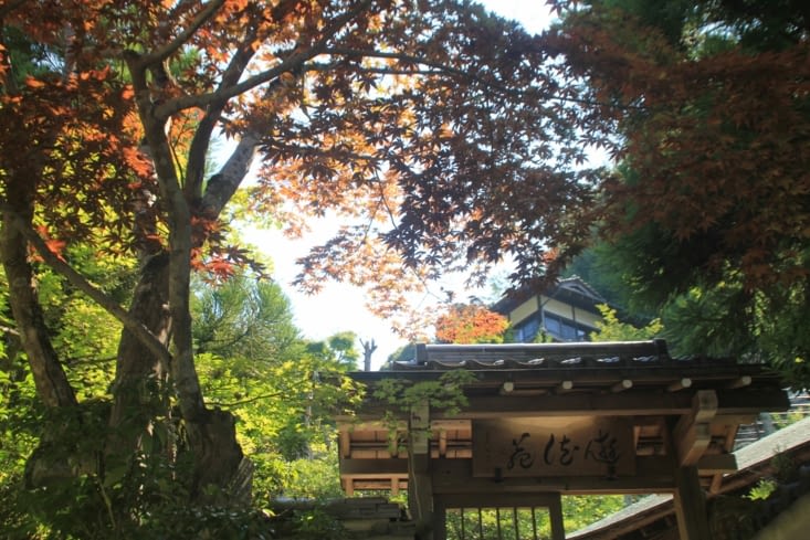 Wonderful nature: Miyajima