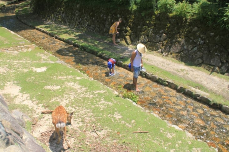 Seeking fresh places