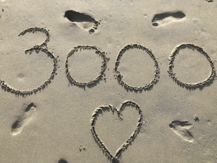 Merci pour vos visites ????