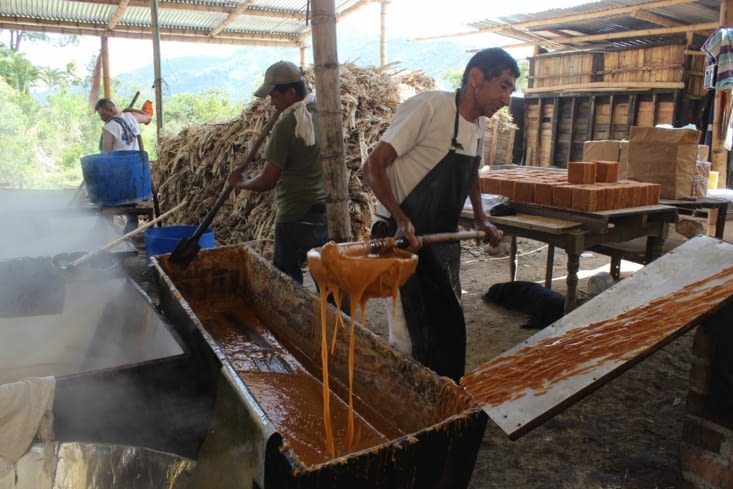 Process de la panela