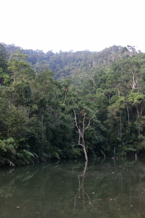 Balade dans la jungle jusqu'à la cascade de Klong Jaak