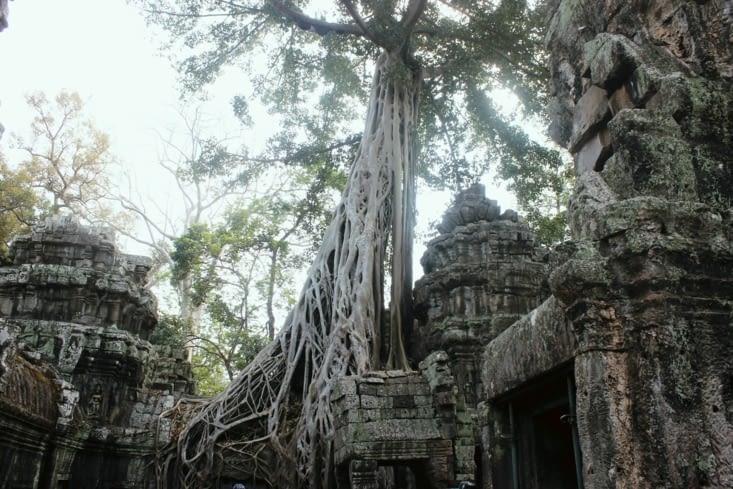 Jour 1 - Ta Prohm