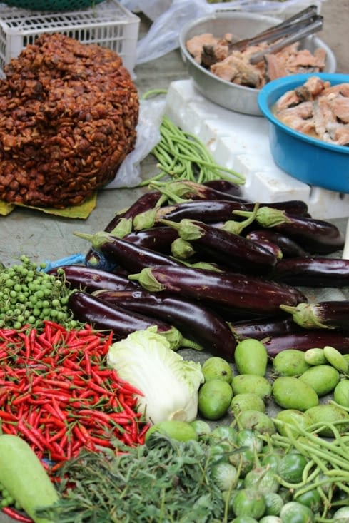 Différentes sortes d'aubergines