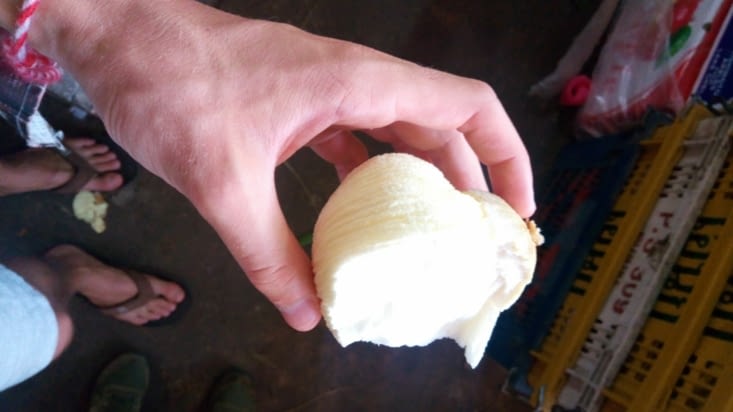 Quand la graine à l'intérieur de la noix de coco commence à grossir : ça se mange aussi !