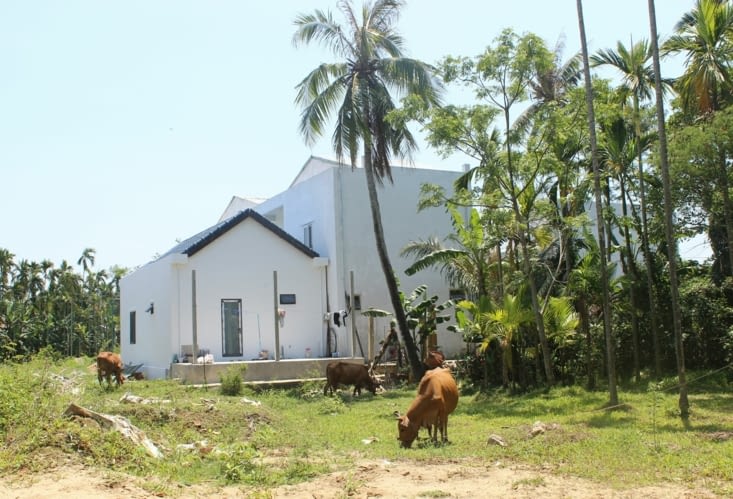 Sur l'île de Cam Nam
