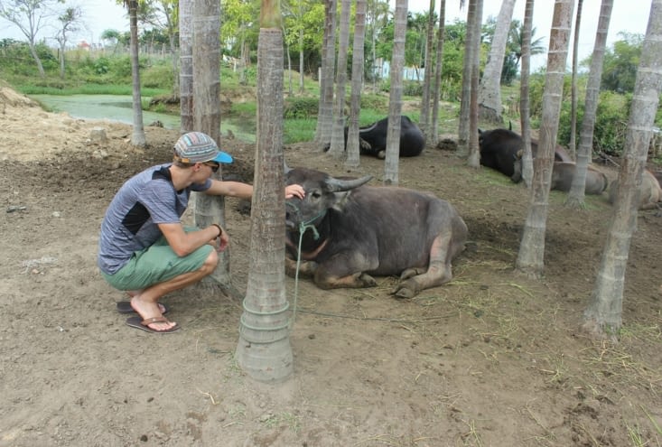 Journée vélo dans les rizières