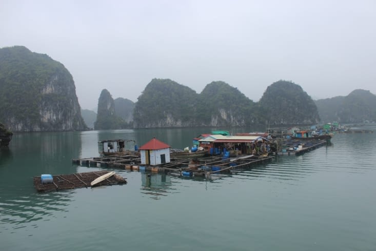 Journée bateau dans les baies de Lan Ha et Ha Long