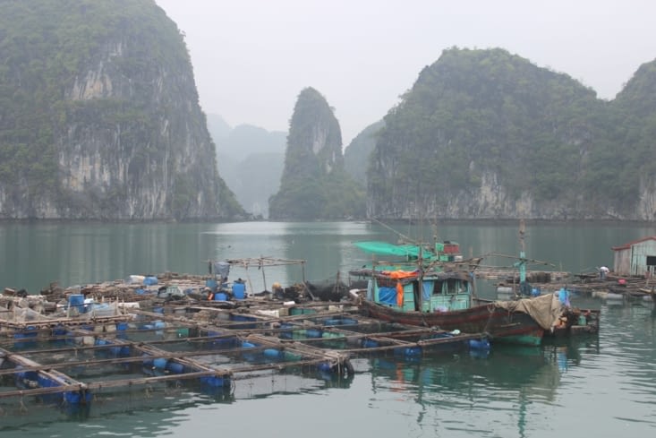 Journée bateau dans les baies de Lan Ha et Ha Long