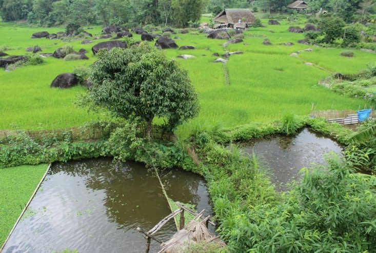 LA vue depuis LA terrasse