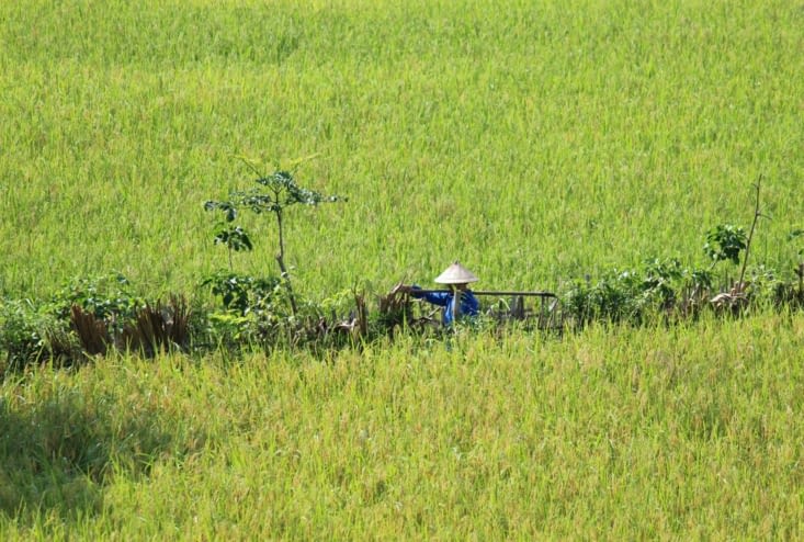 Dernier moment de contemplation depuis la terrasse