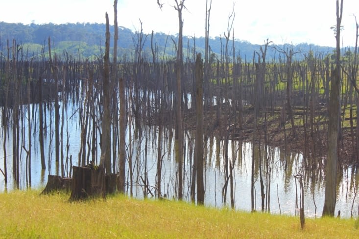 Balade dans les environs de Thalang