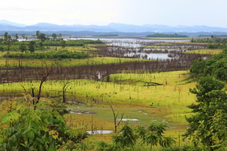 Les Falangs arrivent à Thalang