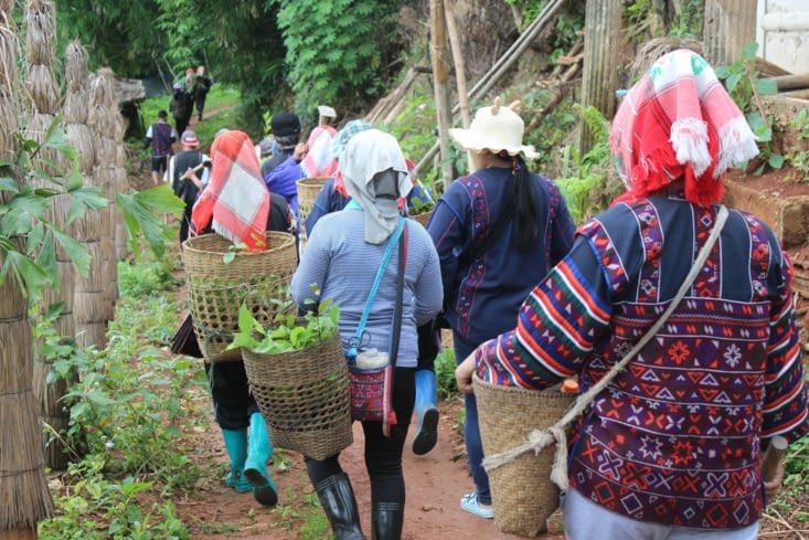 Les villages Akha viennent aider à replanter la foret