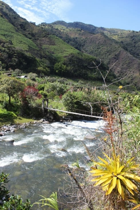 Vue depuis le jardin