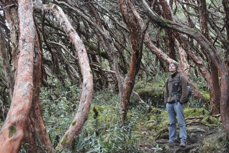 Parque Nacional Cajas - jour 1