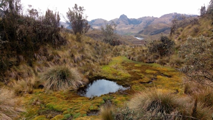 Parque nacional Cajas - jours 1