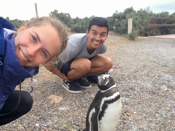 Selfie Pinguin ?