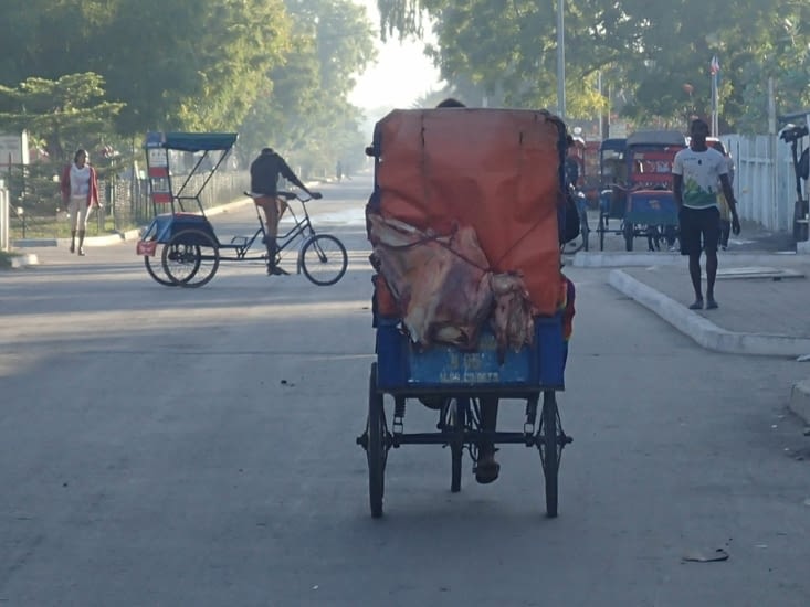 De bon matin vers la gare routière