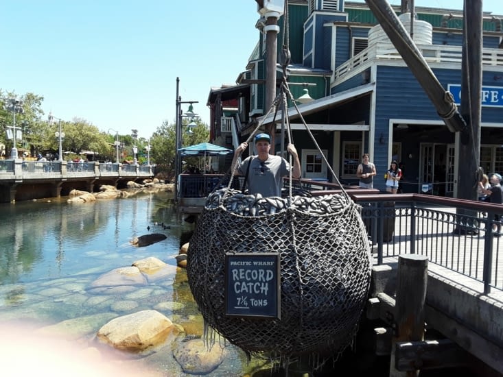 Et voilà une grosse prise