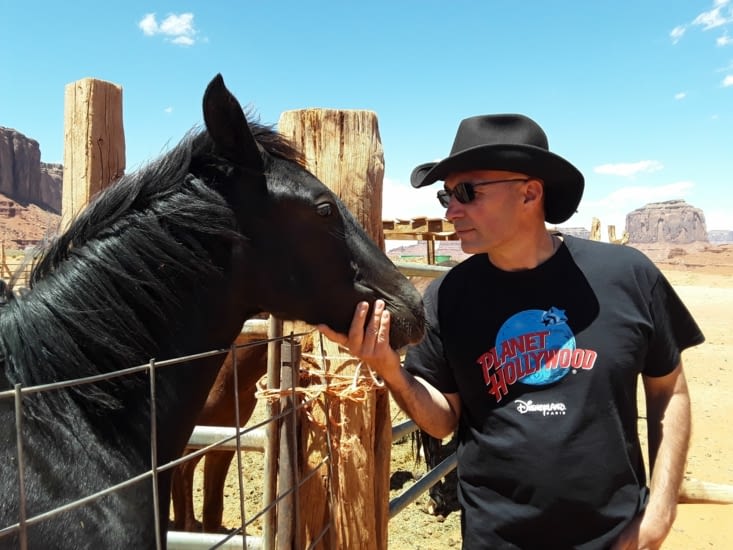 Ce petit cheval noir est magnifique