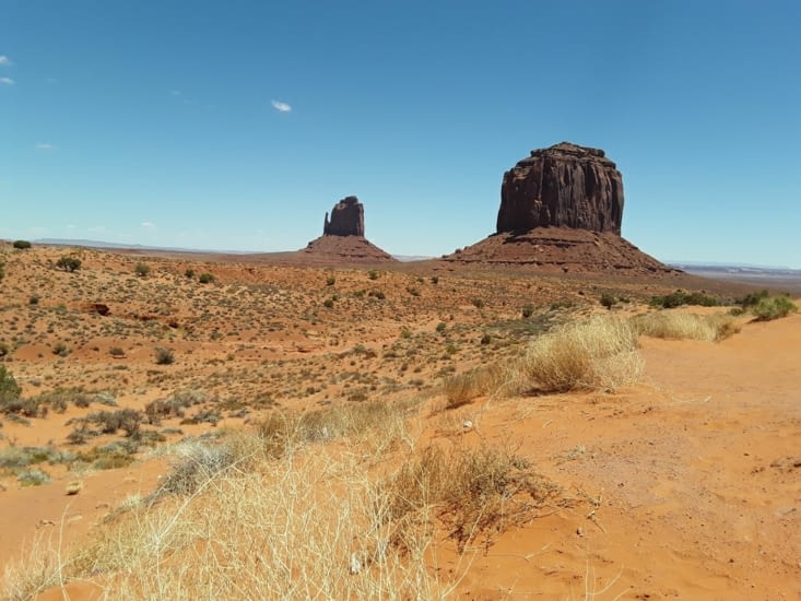 Magnifique n est ce pas ?