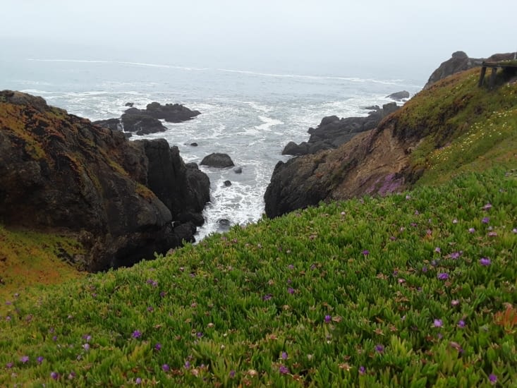 La cote pacific est belle meme sans soleil