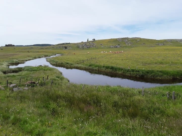 La campagne est si belle en ce début d été sur ce plateau