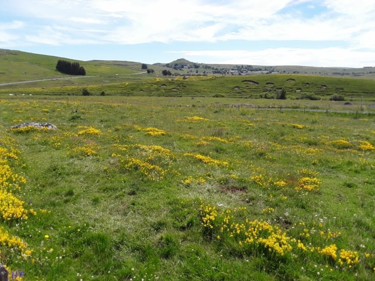 La région est tout simplement magnifique