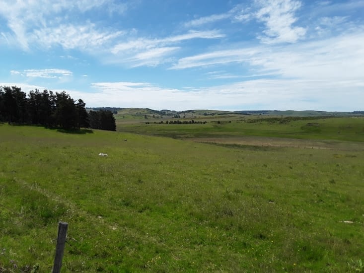 Nous voici maintenant sur le plateau de l aubrac