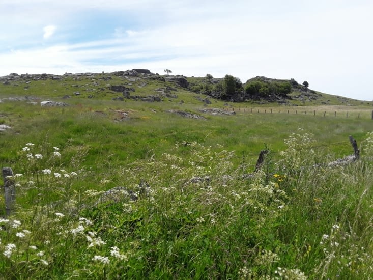 Un dernier regard sur le plateau d Aubrac. ...........