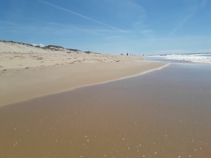 Plus de 124 km de plage de sable fin et des vagues surtout........