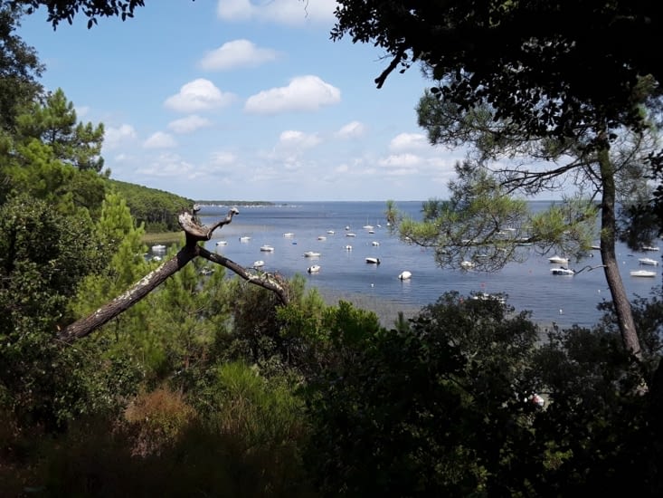Voici le lac de carcans hourtin  de  6000 hectares