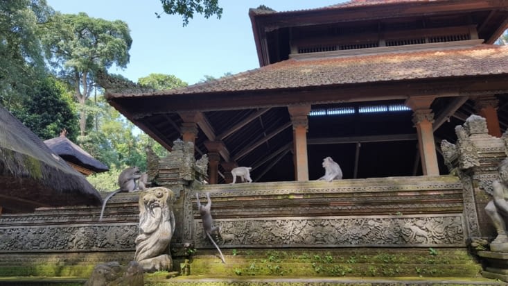 la planete des singes