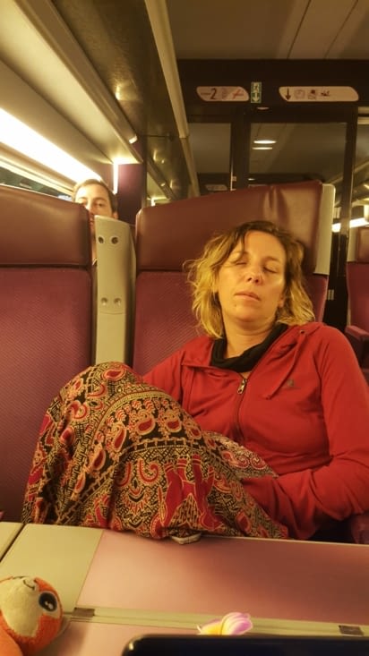 Train vers Nantes.....bientot chez nous