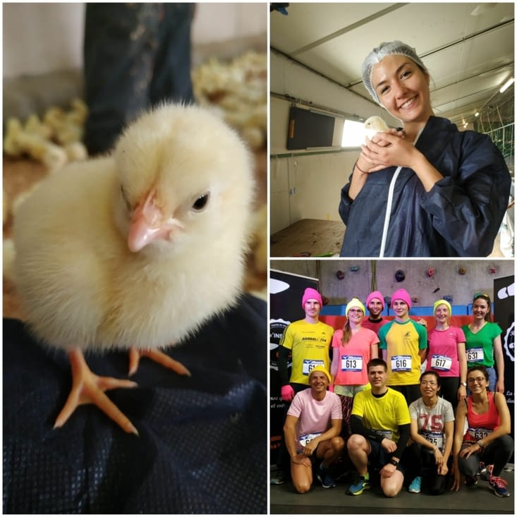 Marine with one of her chicks and the team !