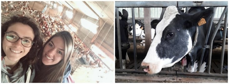 With Wendy, a friend of ours during the visit !