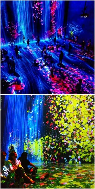 Japanese exhibition !